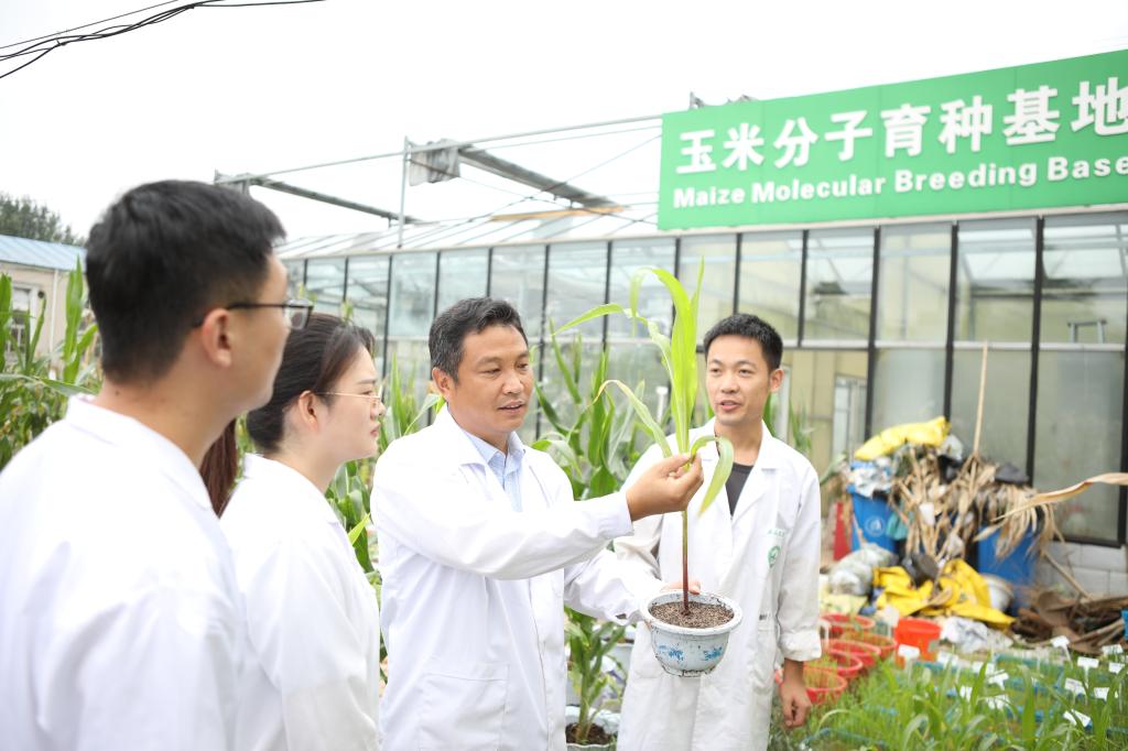 学籍管理