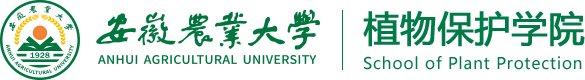 天博综合体育app下载